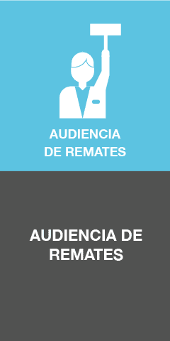 Audiencia de Remates