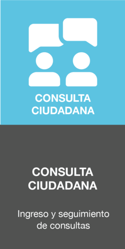 consulta ciudadana