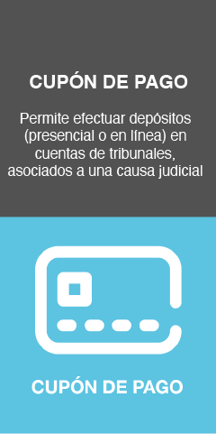 cupon de pago
