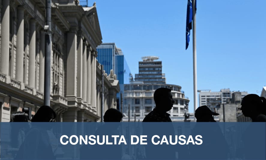 Consulta causas